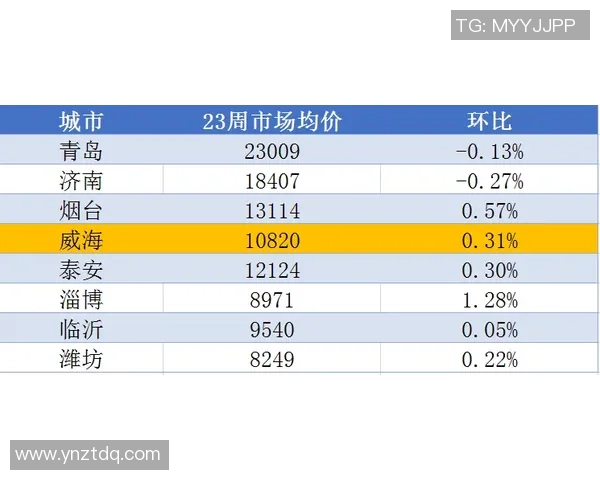 如何查询足球球星卡的价格及其市场行情变化趋势