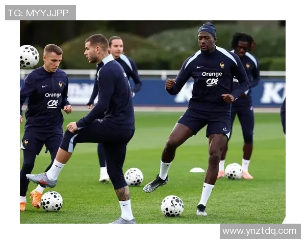 法国国家足球队现役球星集结分析与未来发展展望