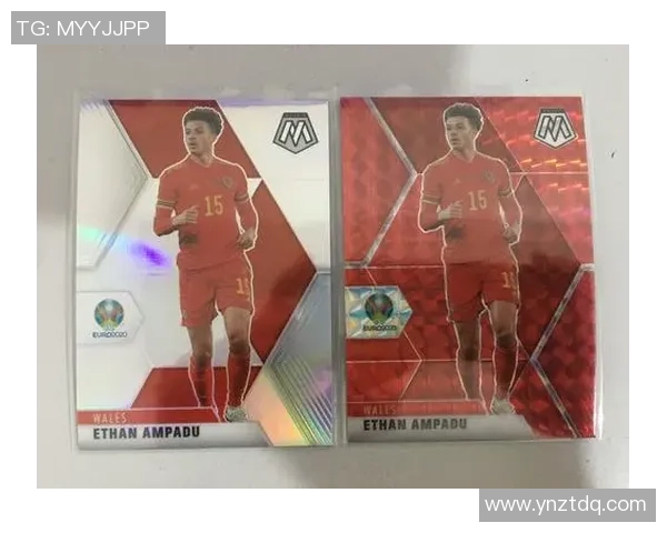 足球明星卡片价格全解析及市场趋势最新盘点